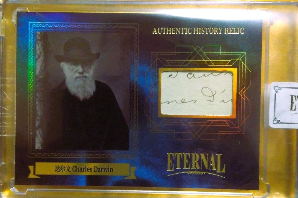 75枚限定】2024 Eternal Cuts チャールズ・ダーウィン Charles Darwin