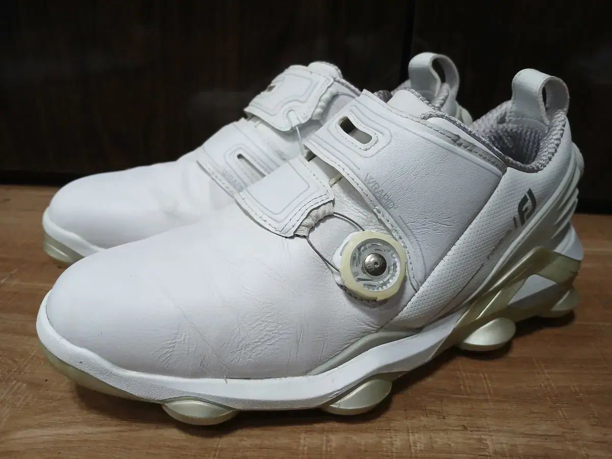 FootJoy フットジョイ ゴルフシューズ 255mm