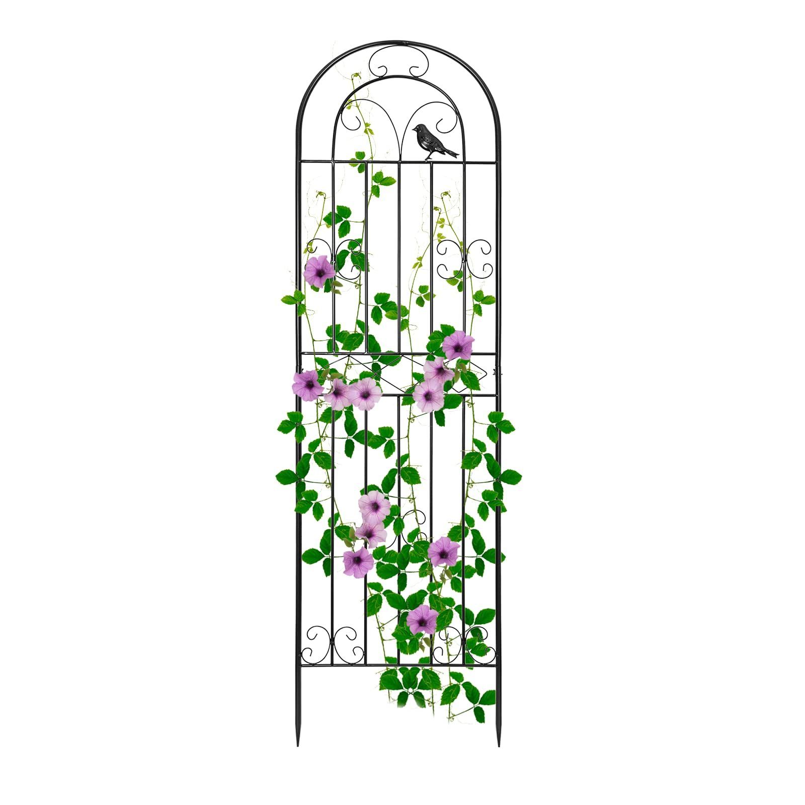 ガーデンフェンス フェンス ハイタイプ 園芸 高さ180cm ローズフェンス アイアンフェンス 蔓性植物用支柱 Rxakudedo フェンス