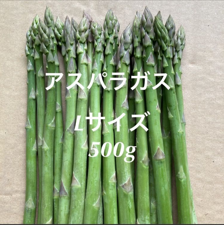 アスパラガス 新鮮 A品Lサイズ 500g - 野菜