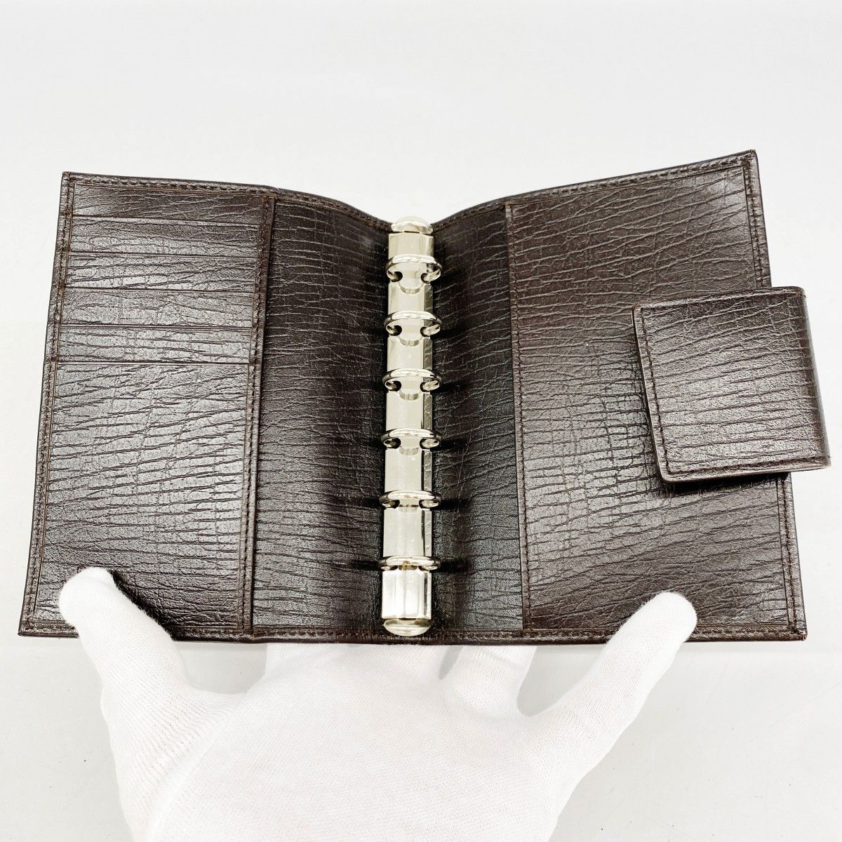 GGキャンバス|シェリーライン