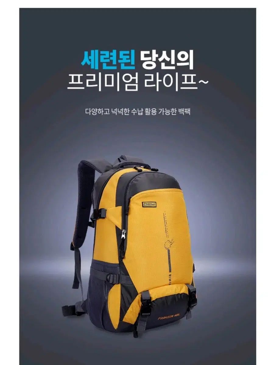 リュックサック 25L