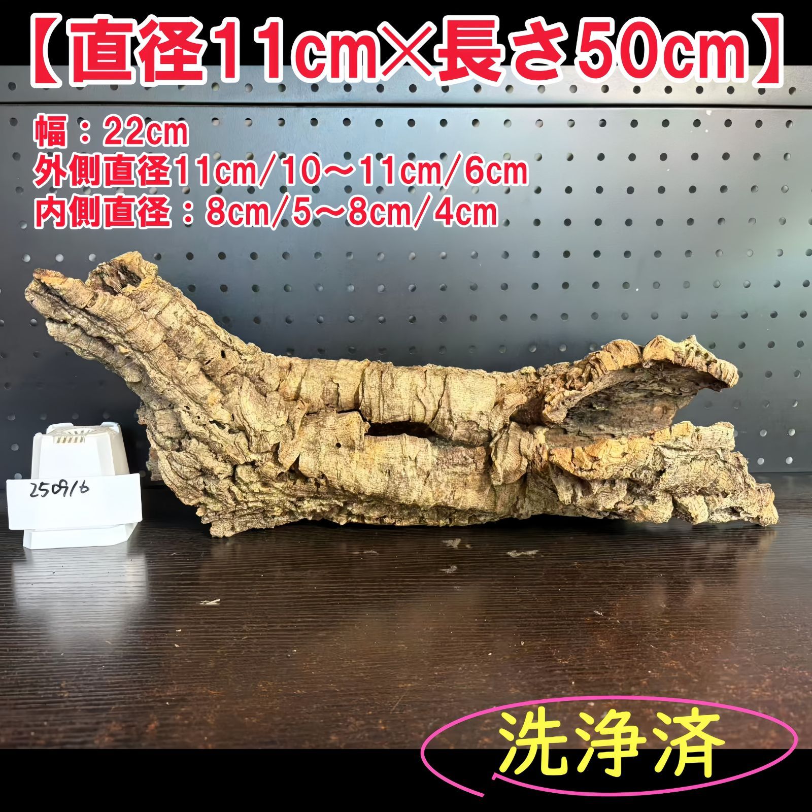 250916 ポルトガル産 キャノンコルク コルク樹皮 コルク板 バージンコルク 送料無料 チランジア ビカクシダ 着生ラン 両生類 爬虫類