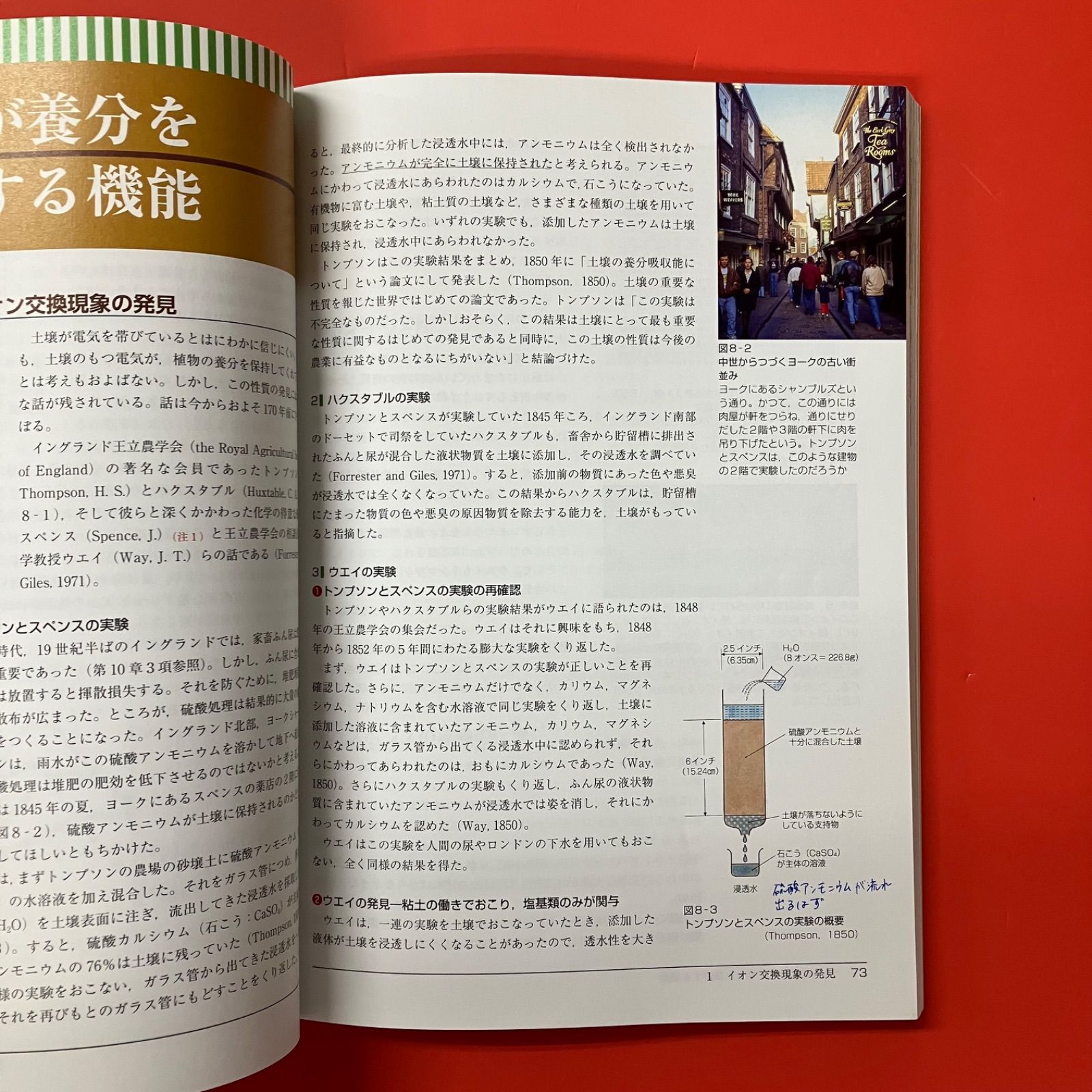 新版 土壌学の基礎 生成・機能・肥沃度・環境 農学基礎シリーズ　lp_c30_393