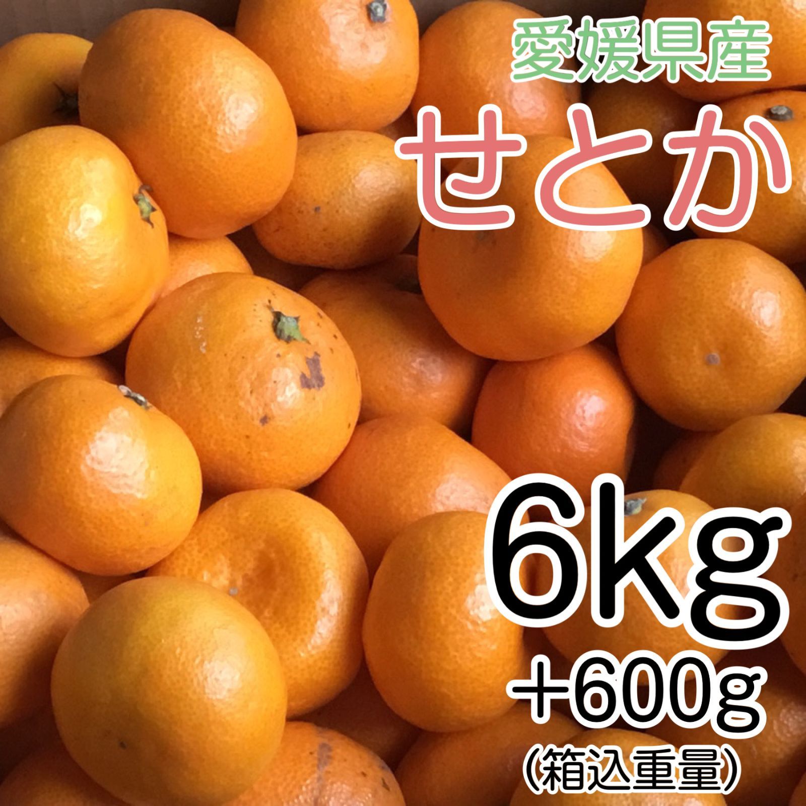 愛媛県産 せとか 6kg+600g補償分 2999円 訳あり家庭用 柑橘 - メルカリ