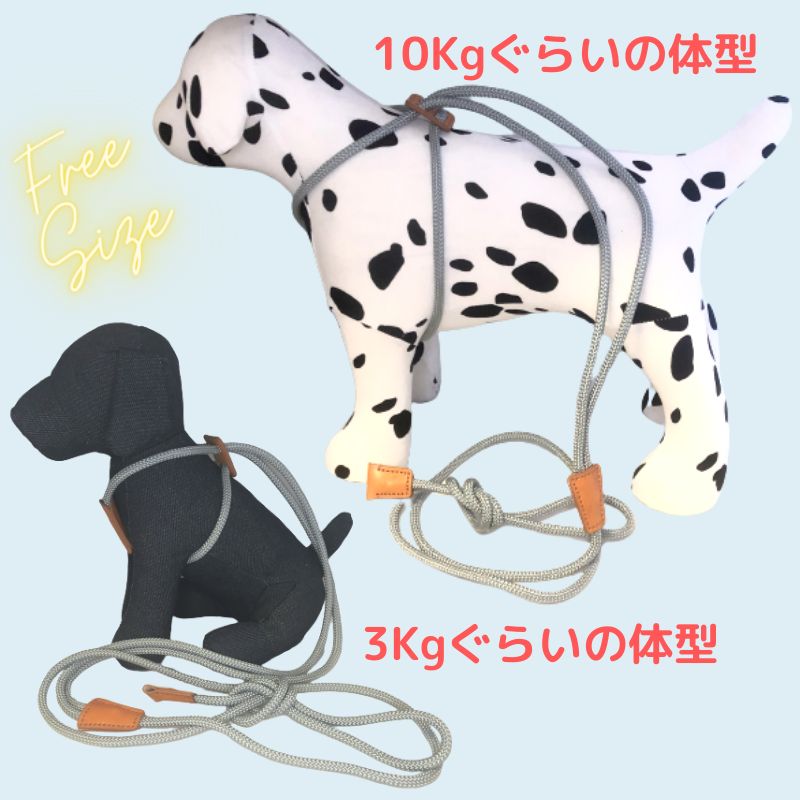 新色タンガリー☆ハーネスとリードセット 3.5サイズ plusnao ハーネス リード 4点セット 3サイズセット トカゲ