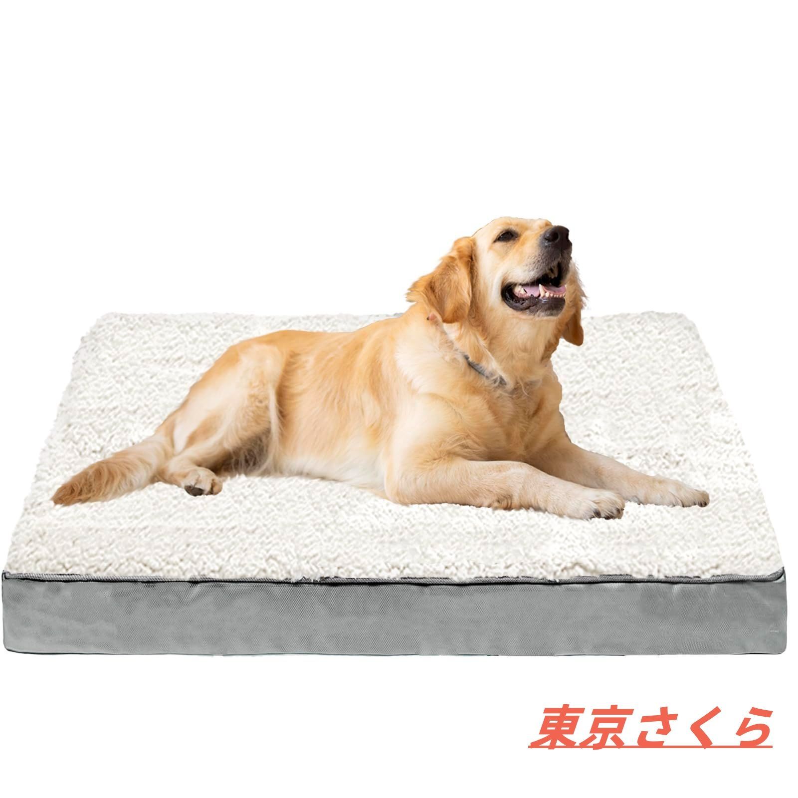 90cm 犬