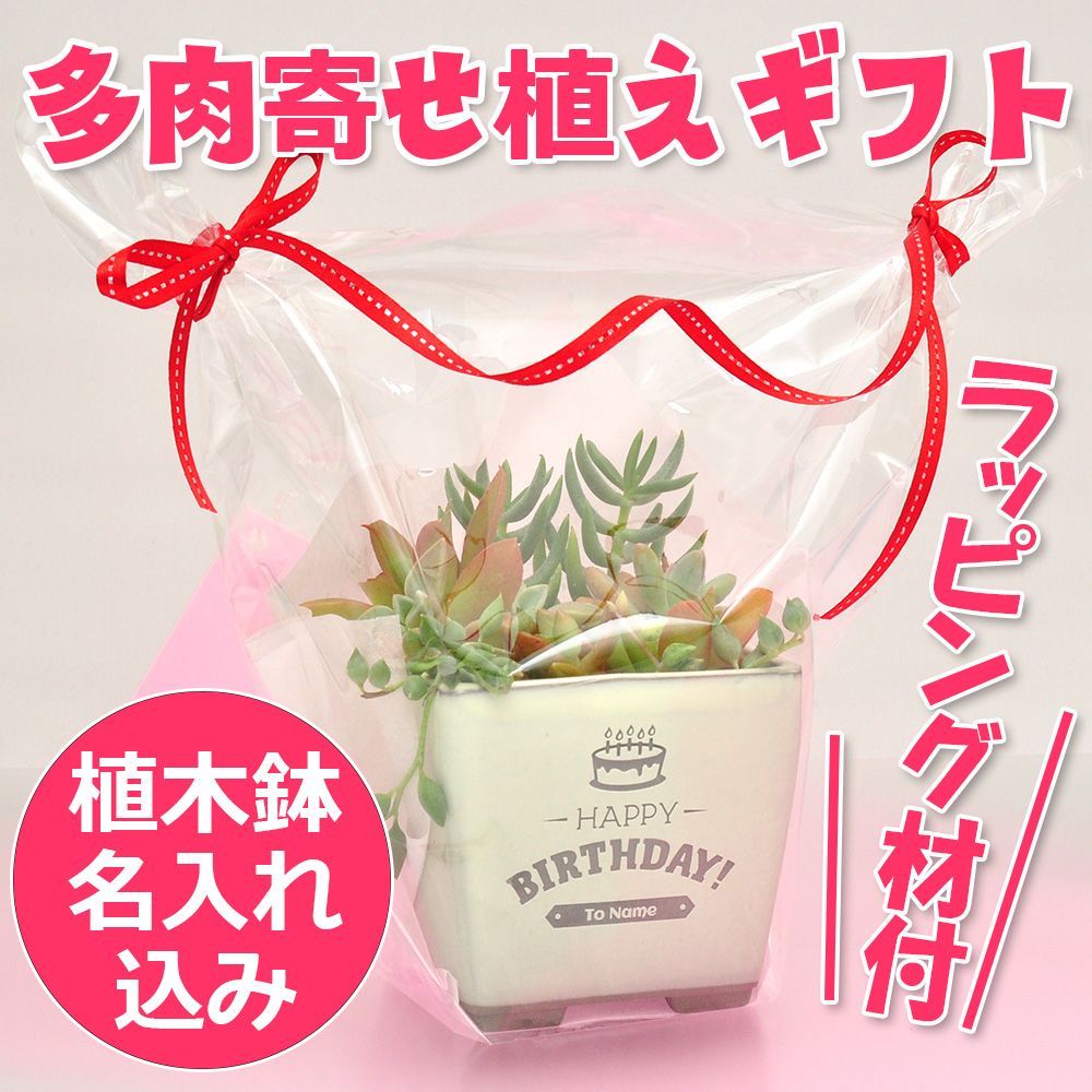 ☆名入れ☆多肉植物寄せ植え♪誕生日プレゼントに♪リメ鉢 ラッピング