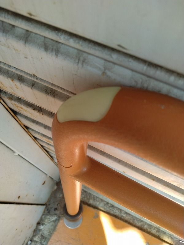 モルテンルーツ