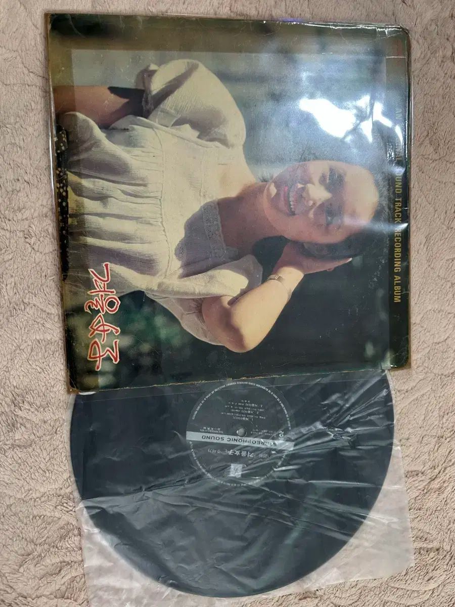 映画 OST ウィンターガール トピック 1977 早い LP WWW_TRAVELLANDINDIA_COM