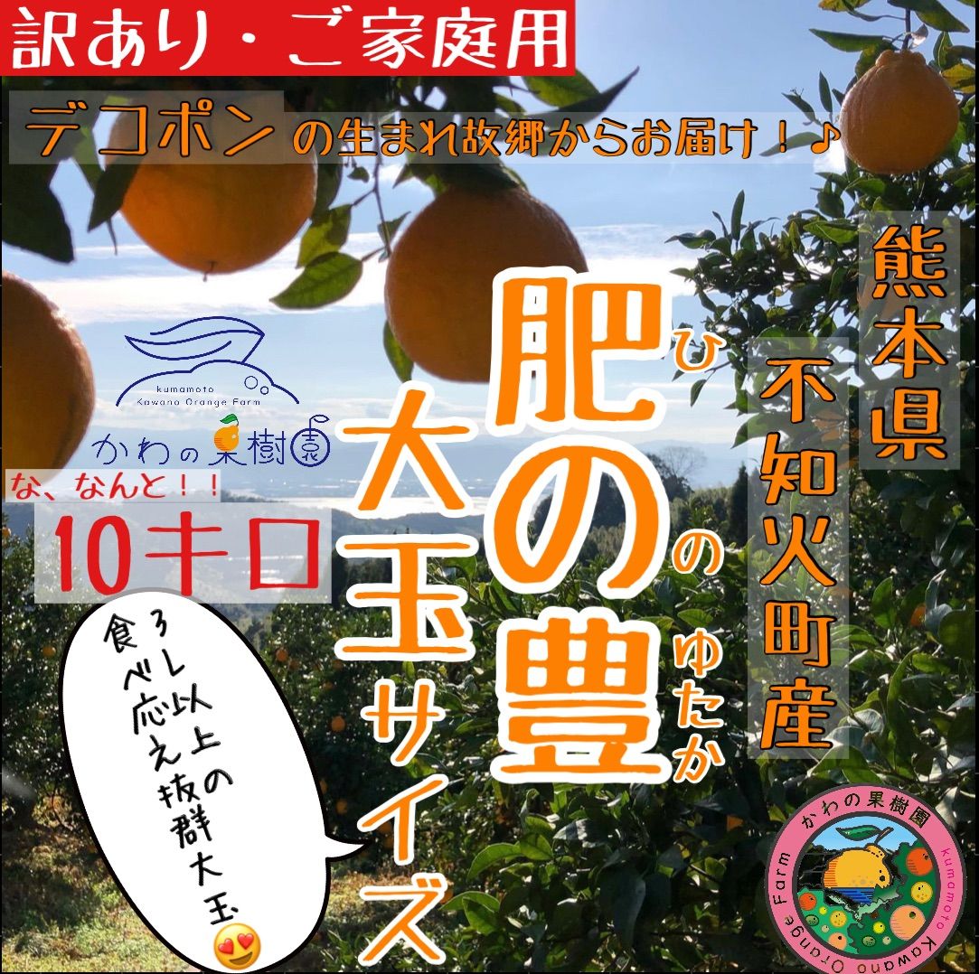 熊本県産 不知火 10キロ