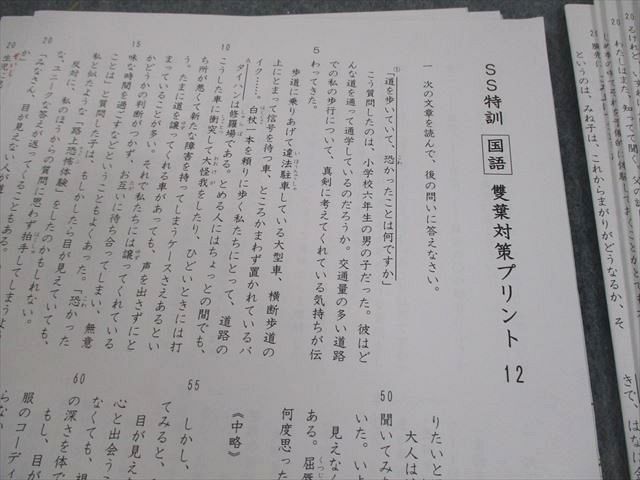 サピックス 6年国語　SS特訓　・正月特訓・冬期講習　桜蔭対策プリント全24回分 サピックス 6年国語 SS特訓 ・正月特訓・冬期講習 桜蔭対策