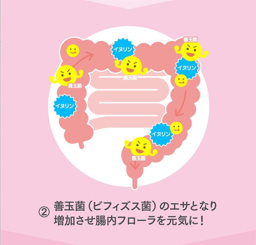 のサムネイル