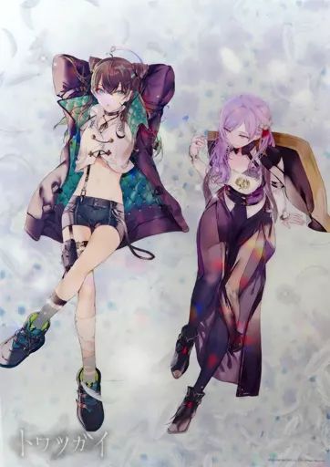 トワツガイ　ポスター　ハチドリ　ツル 中古】クリアポスター A3クリアポスター ツル＆ハチドリ