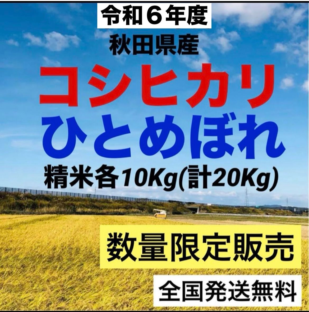 数量限定】令和6年度☆新米☆コシヒカリ・ひとめぼれ食べ比べセット  