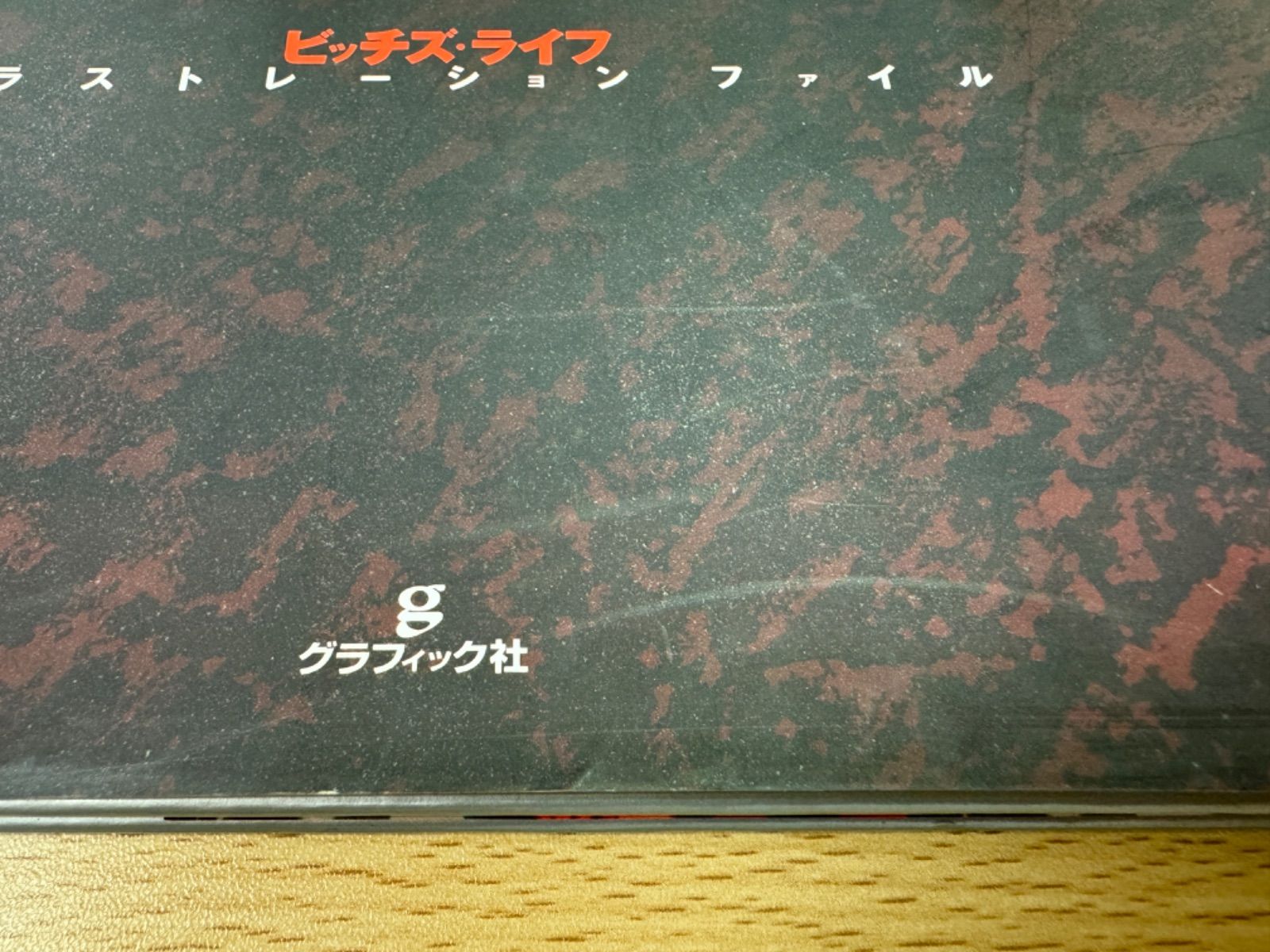 Bitch'sLife ビッチズライフ イラストレーションファイル - メルカリ