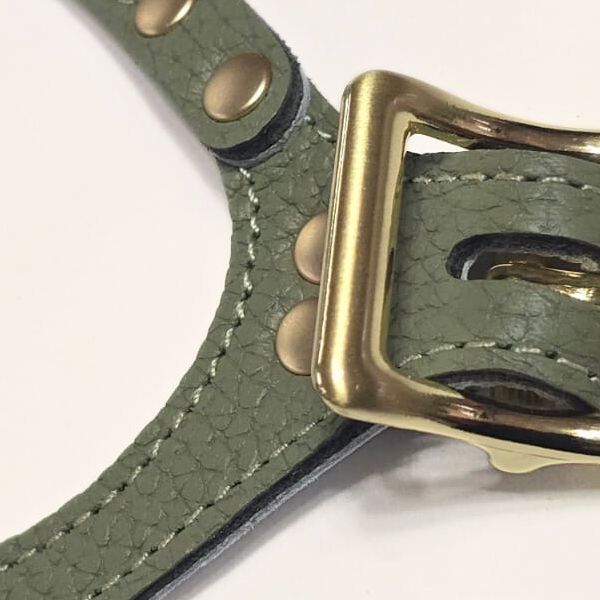 バディーベルト セージ 6号 Sage スワロフスキークリスタル付 獣医師推奨 BBハーネス ペット 犬 レザー 本革 用 BUDDY BELT BUDDYBELT犬 犬用 ドッグ バディベルト ハーネス 胴輪 首輪 ハーネス リード 犬用品