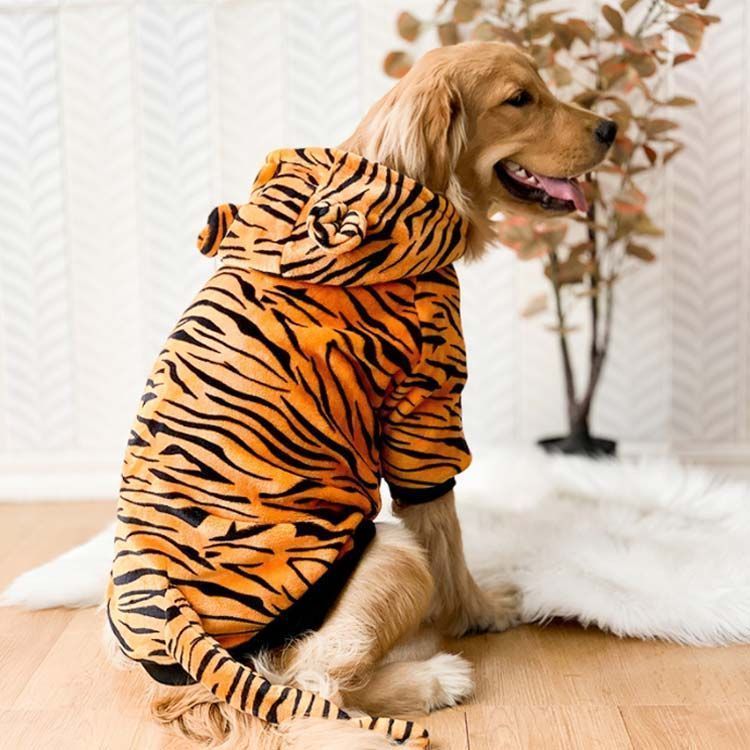 コンベニア犬　ぬいぐるみ　龍の服　オリンピックメダル服　セット コンベニア犬 ぬいぐるみ 龍の服 オリンピックメダル服 セット