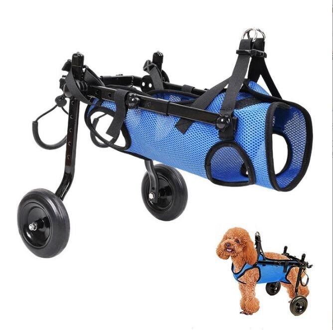 パリで購入WOUAPY本革犬用リード＆首輪濃い緑新品タグ付き