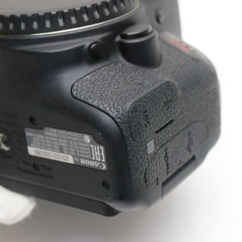 本体 土日祝発送OK