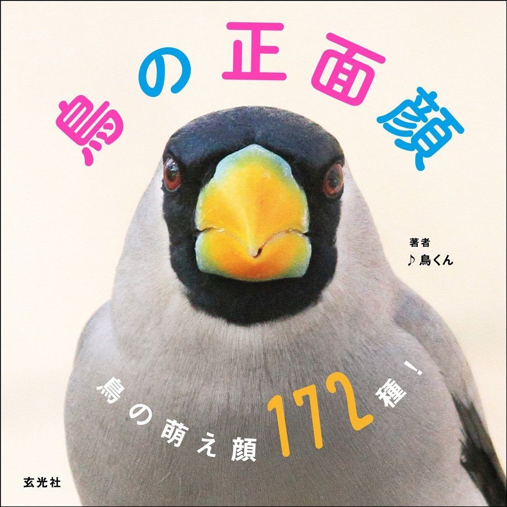 鳥の正面顔