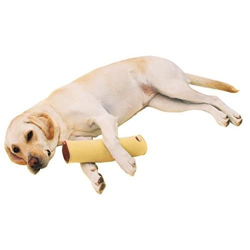 ペティオ (Petio) ずっとね 床ずれ予防クッション スティック型 老犬