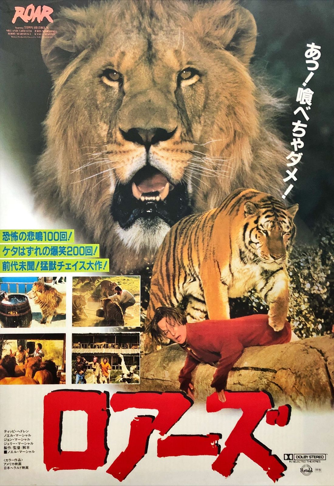 id『ロアーズ』映画オリジナルB2判ポスター id07738 - メルカリ