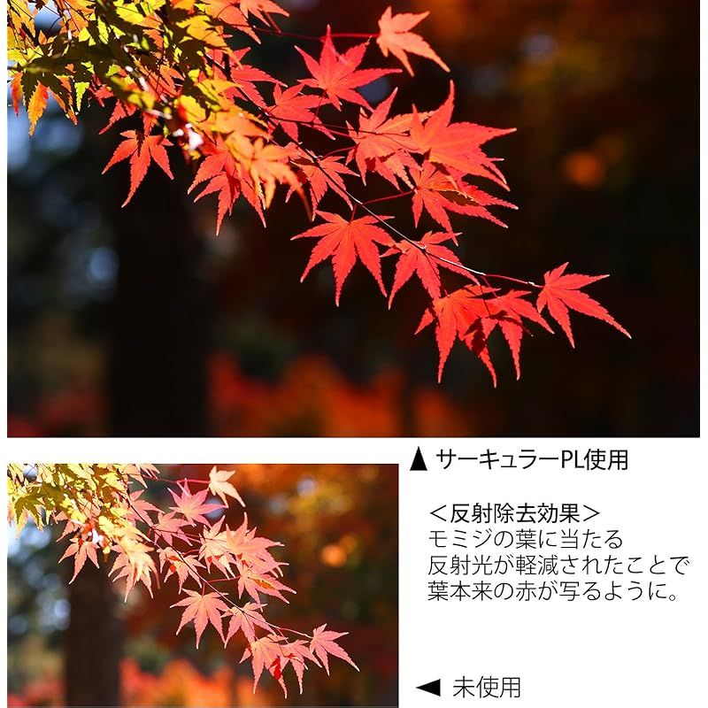 サーキュラーPL NEO