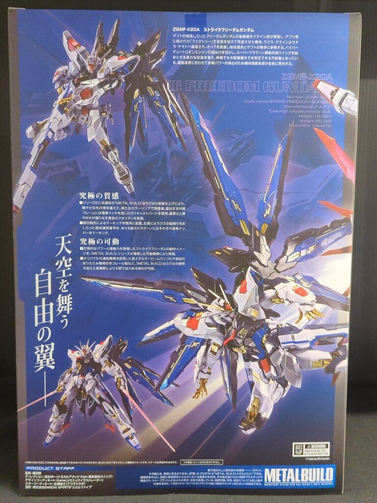 BANDAI SPIRITS METAL BUILD 機動戦士ガンダムSEED DESTINY