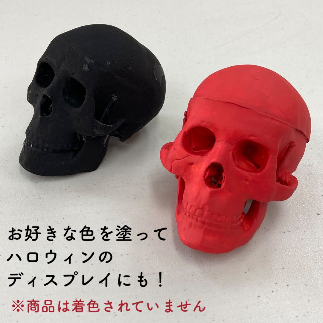 通常商品 ２分解できる頭蓋骨模型 1/2スケール ２個セット - メルカリ