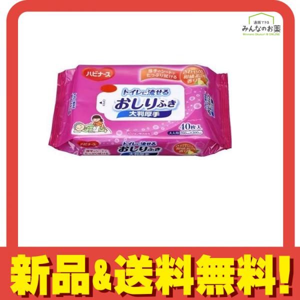まとめ得 ハビナース トイレに流せるおしりふき 大判厚手 40枚入 x [18個] /k トイレに流せるおしりふき 大判厚手 - 介護用品のピジョンタヒラ