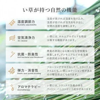 裏貼り エルモード