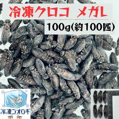 冷凍クロコ メガL 約100匹100g 冷凍コオロギ - メルカリ