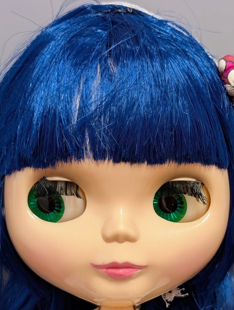 カンカンキャット