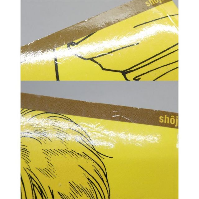 BANANA FISH バナナフィッシュ 英語 洋書 全19巻セット 全巻