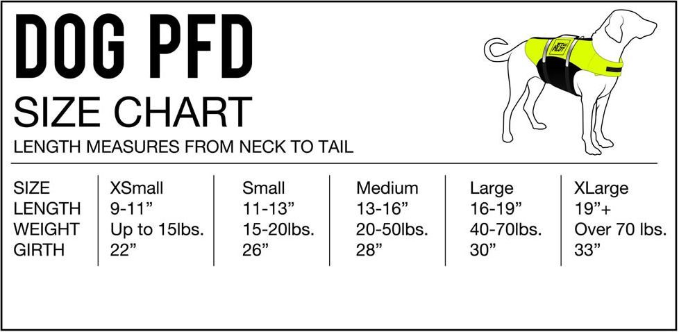 大型犬 超大型家