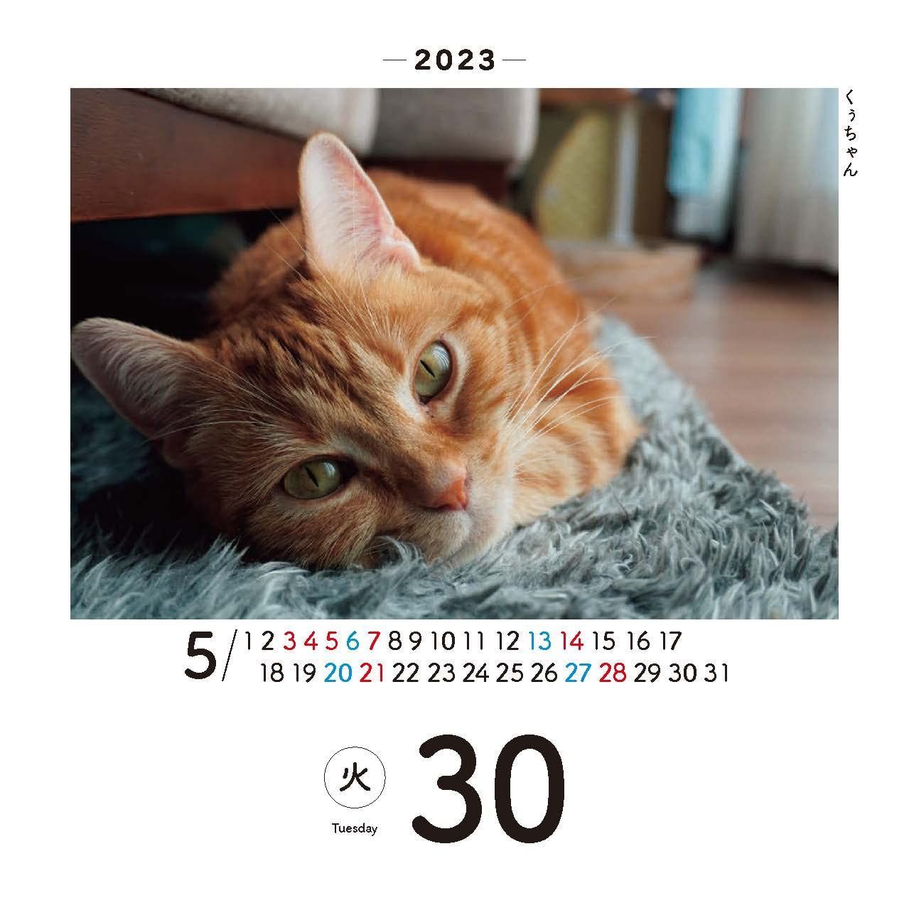 未使用、2023年、猫、卓上カレンダー
