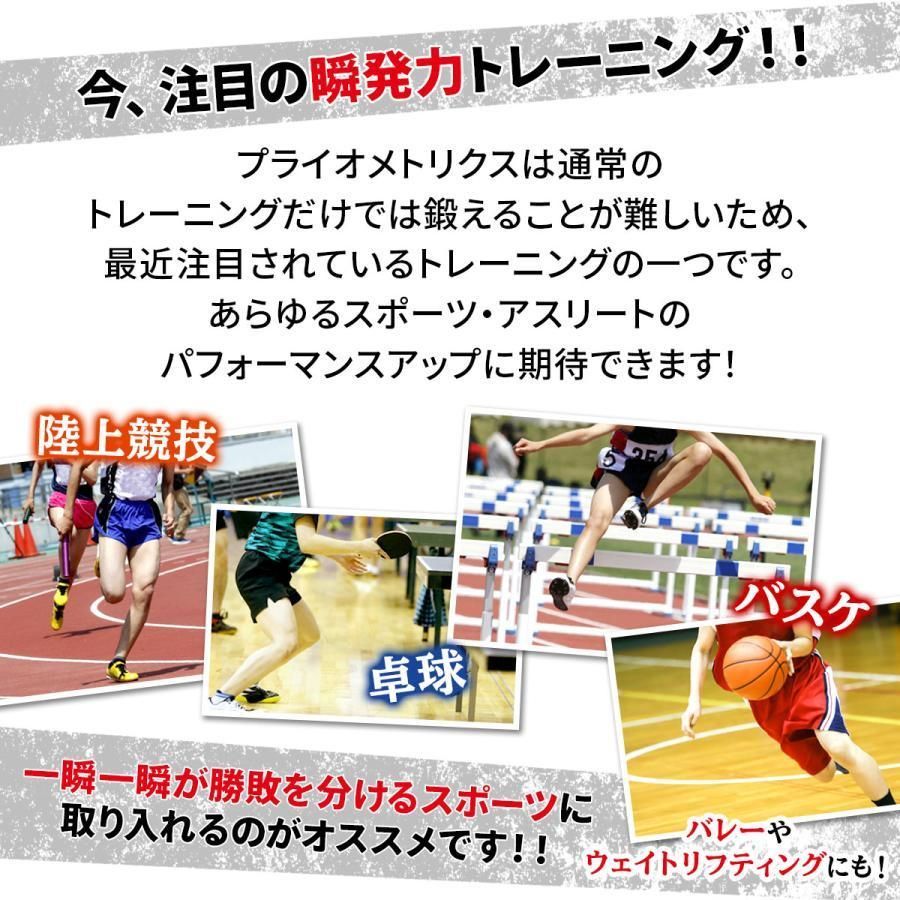 ステップ台 体幹