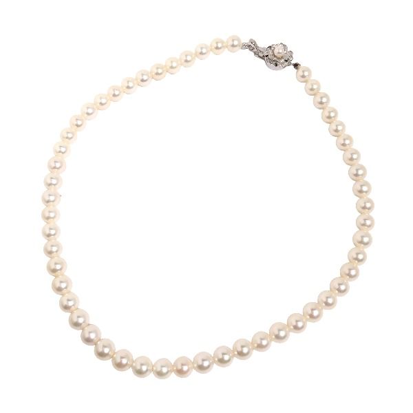 パール 53粒 ネックレス ホワイト - メルカリ 