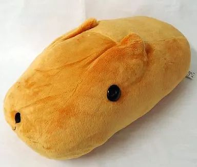 専用です！　　カピバラさん　どーんとでっかいぬいぐるみ〜なまけものくんといっしょ 中古】ぬいぐるみ カピバラさん どーんとでっかいぬいぐるみ