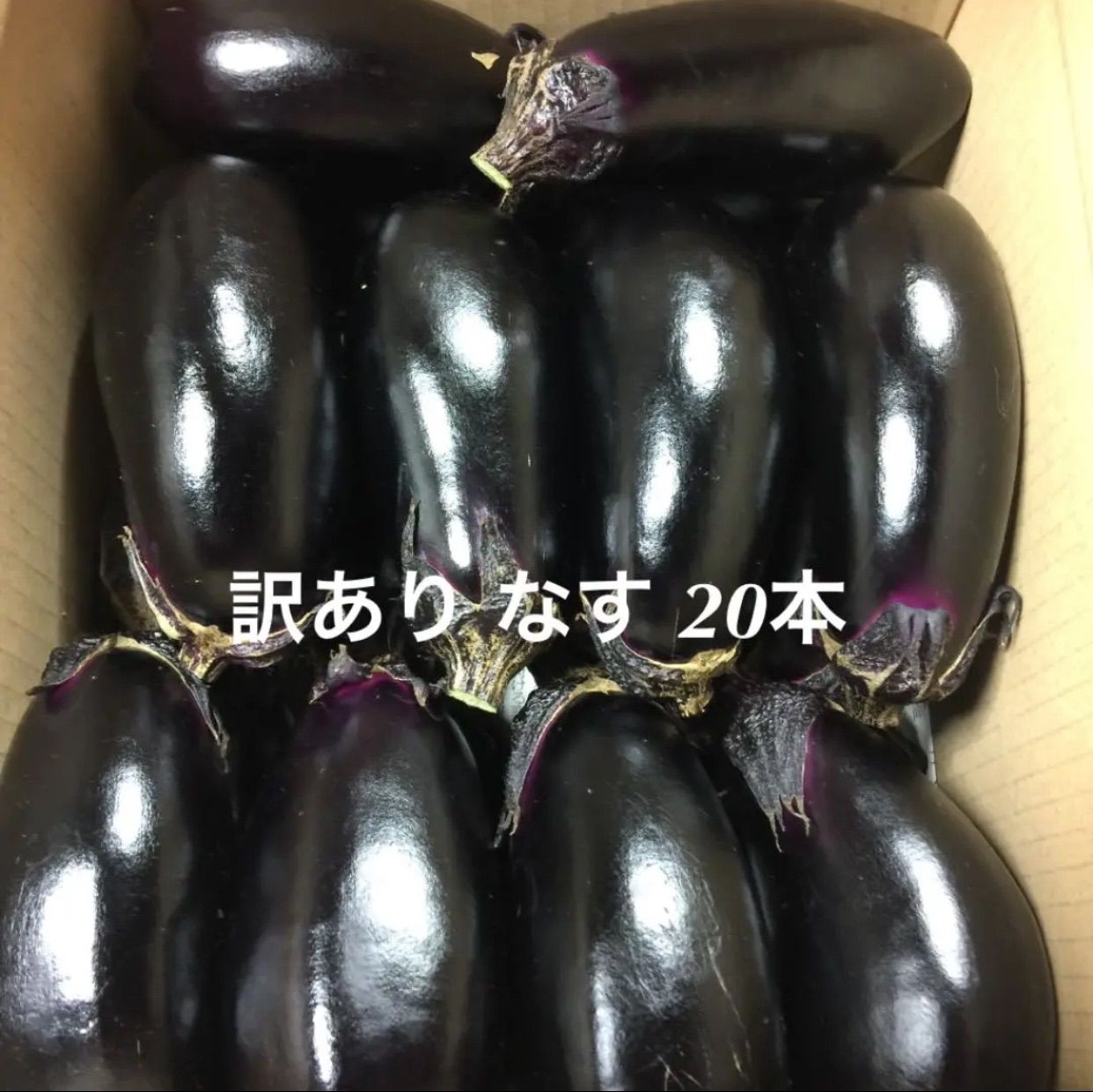 ☆訳あり 規格外☆朝どり 茄子 なす 20本 60サイズ - メルカリ