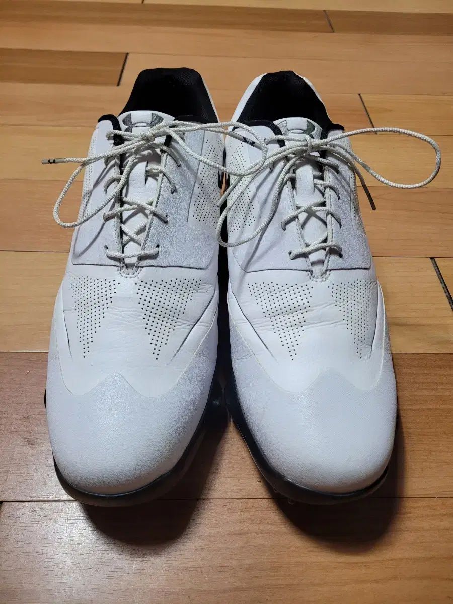 【雷市場（ポンジャン）商品韓国直送】 UNDER ARMOUR(アンダーアーマー) TOUR TIPS メンズ ゴルフシューズ ( 295mm ）