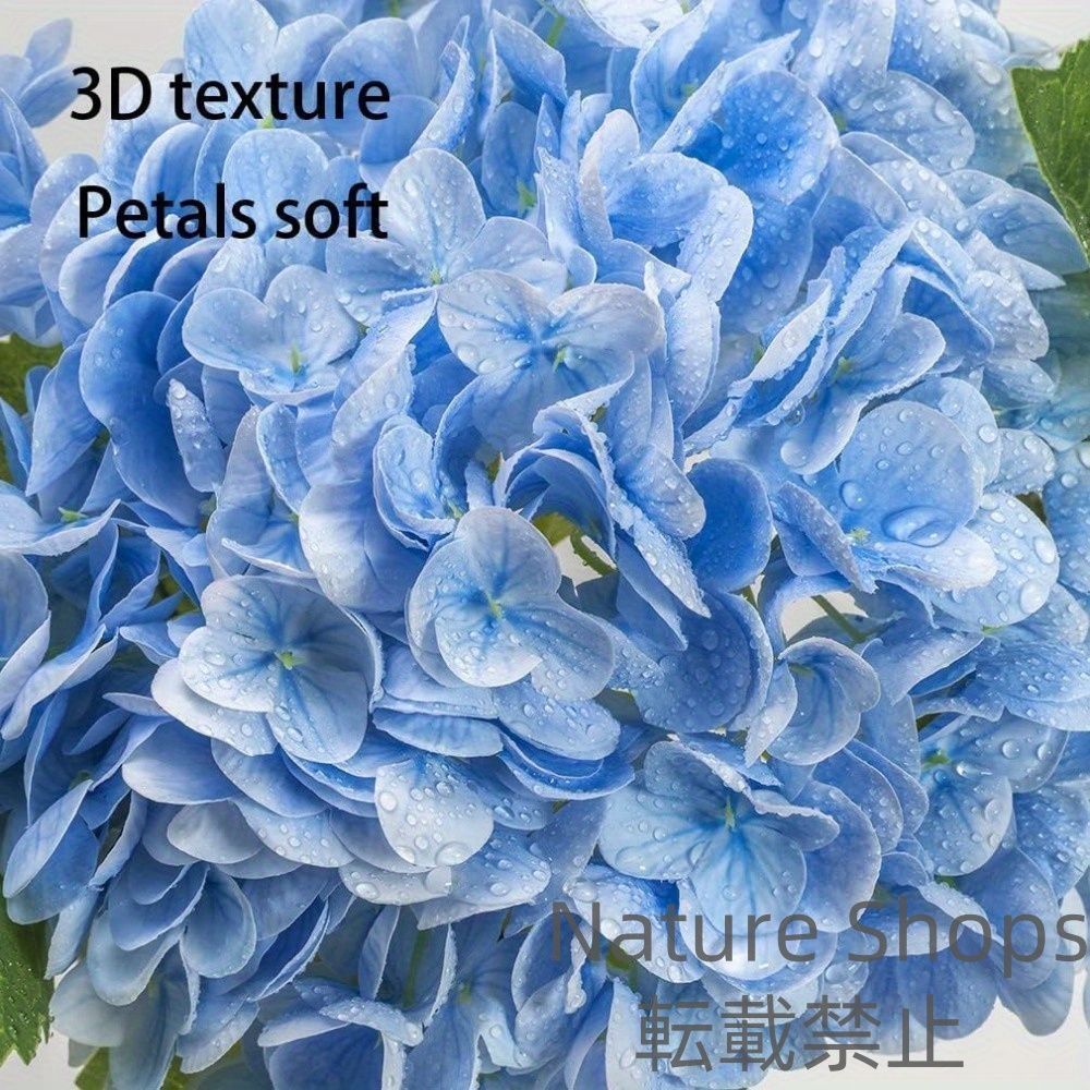 紫陽花