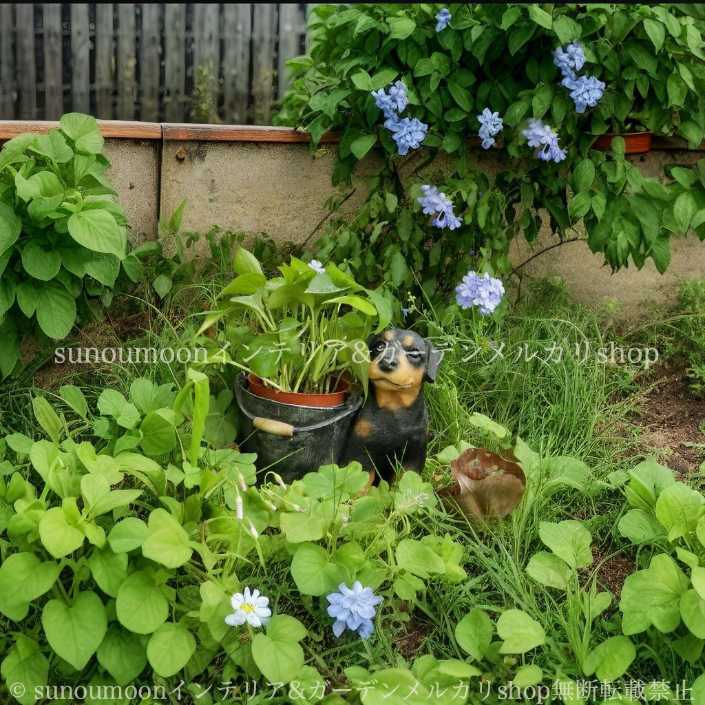 おしゃれ かわいい