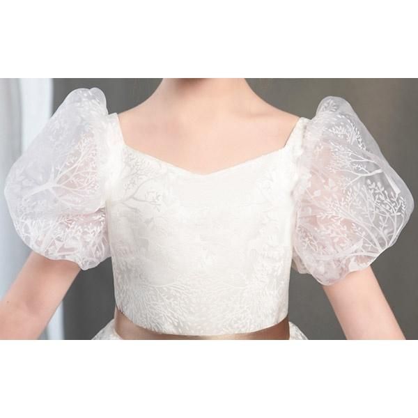 予約受付中】紅はるか苗☆ウイルスフリー 1000本 4月下旬から発送開始