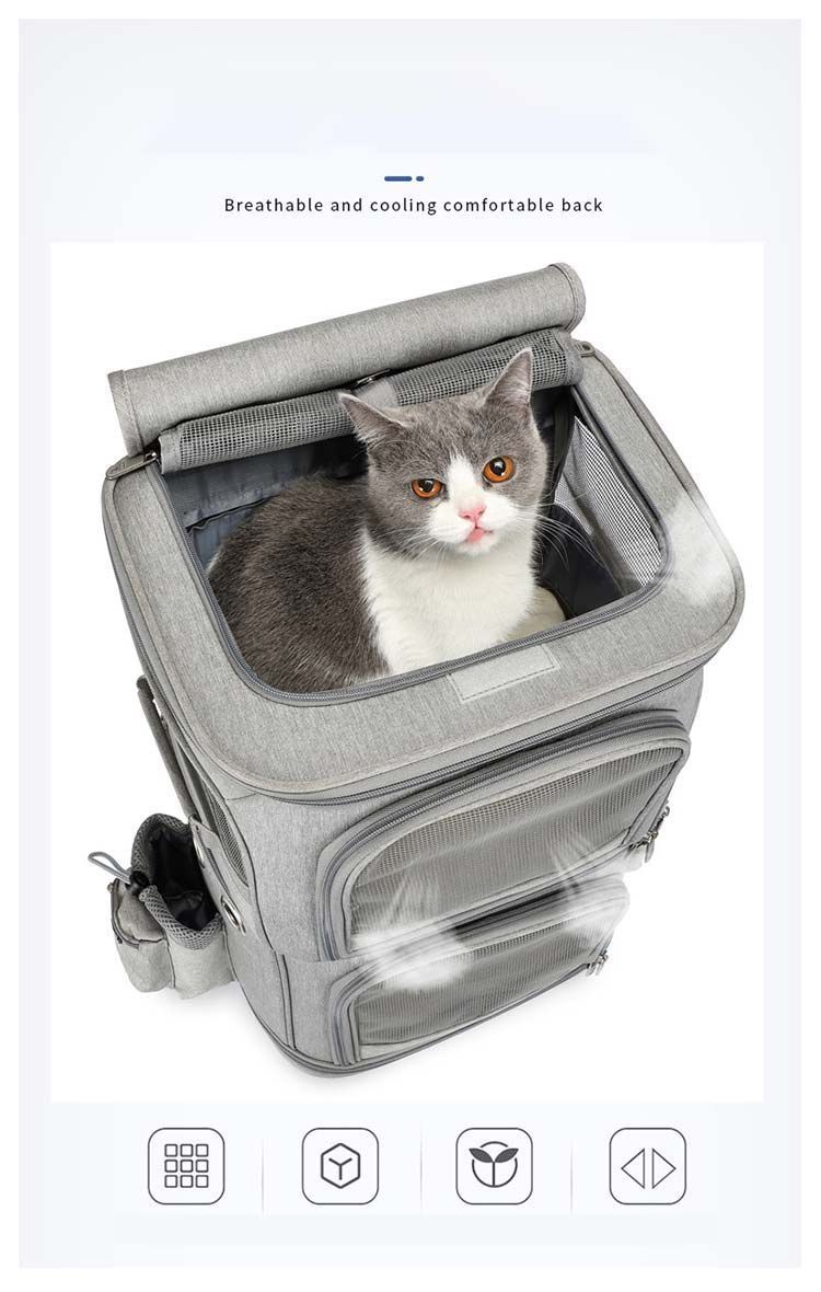 猫 猫用