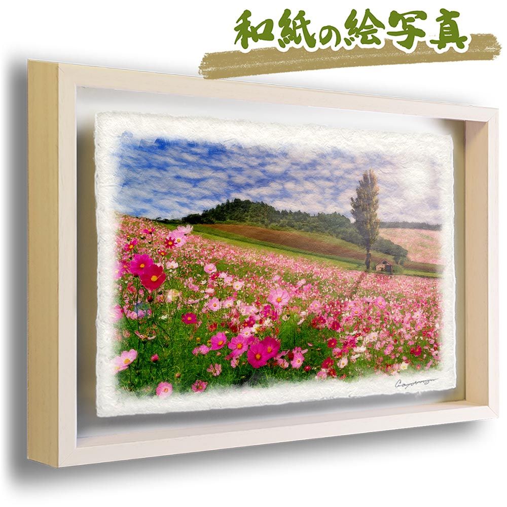 和紙の絵写真 「太陽とコスモス畑のポプラの木」 立体額縁付き 31x23cm