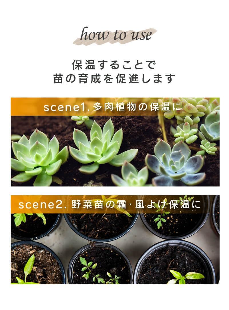 家庭菜園