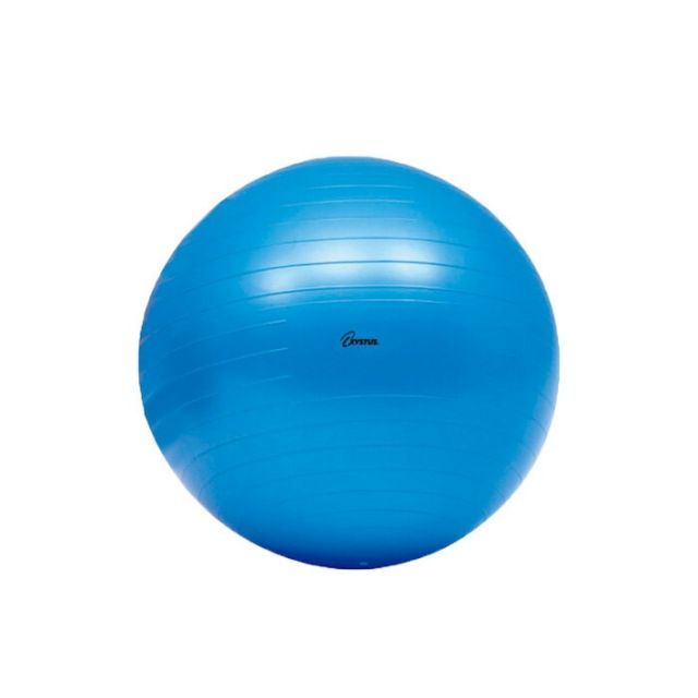 ボディーボール65 青 ブルー トーエイライト ストレッチ エクササイズ 運動 高齢者 便利 コンパクト プレゼント 贈り物