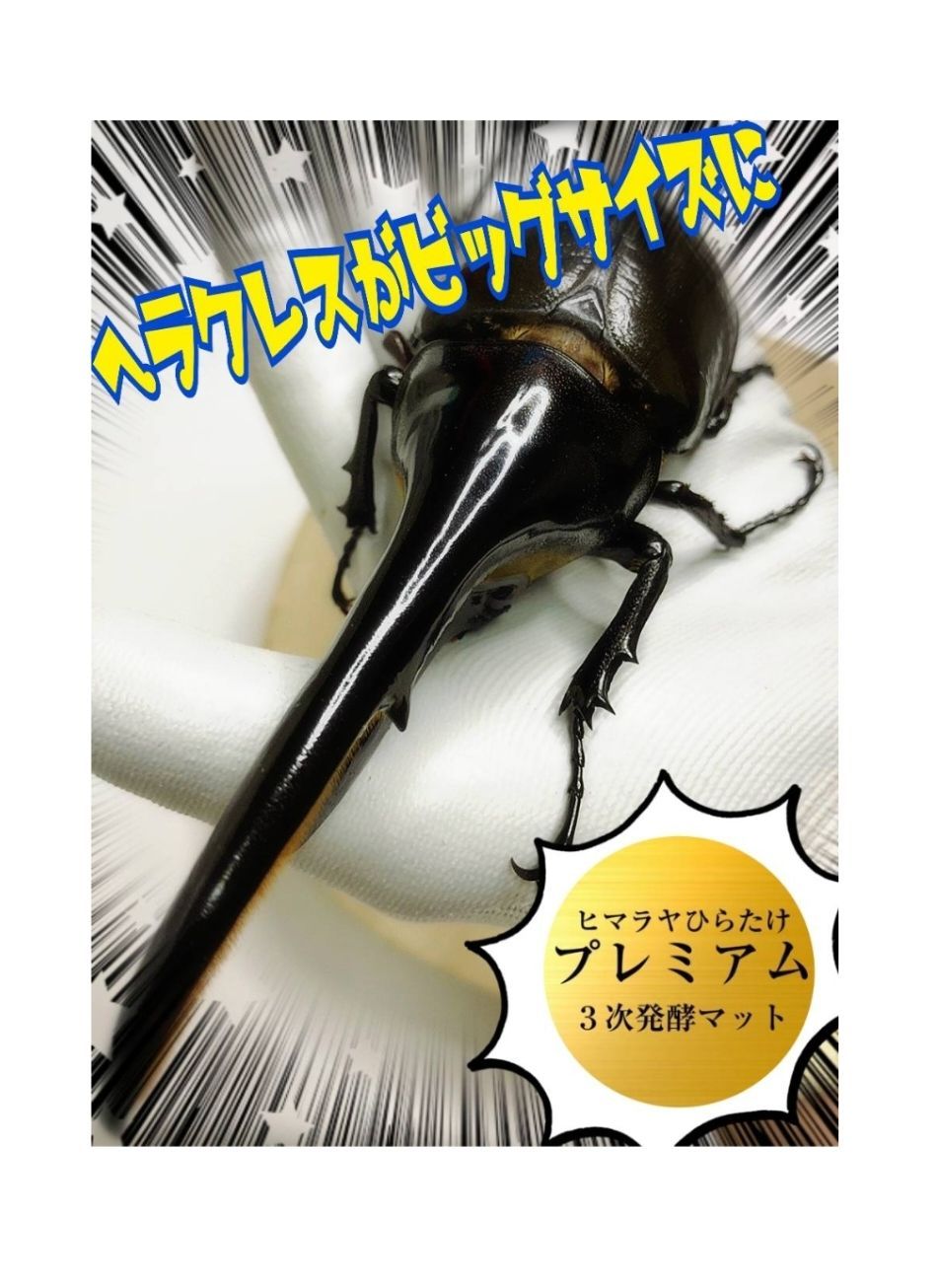 幼虫を入れるだけ！ケース付き☆プレミアム発酵カブトムシマット【3